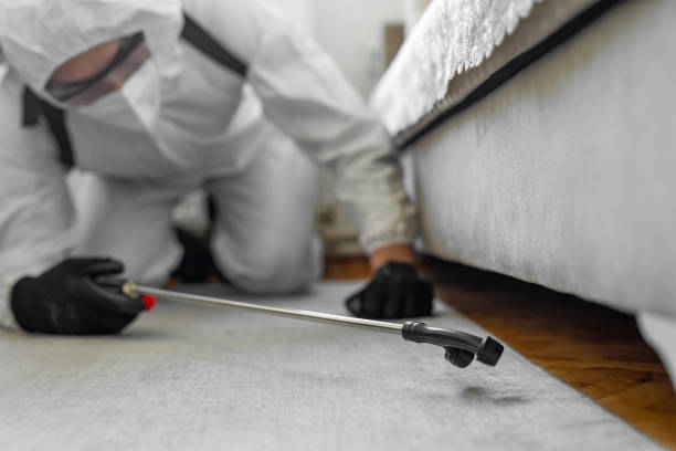 Professional Bed Bug Control technician working in Torrington, CT